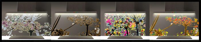 crédence en verre décoré ombelles