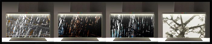 crédence verre décor roseaux