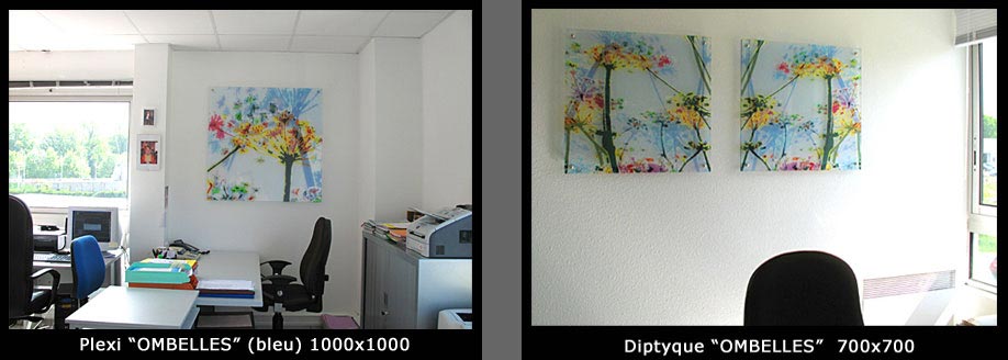 plexis_décorés-tableaux