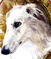 portrait_barzoi_boran