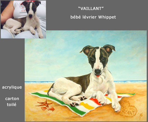 whippet_vaillant